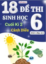 Tuyển tập 18 Đề thi cuối Kì 2 môn Sinh Học 6 sách Cánh Diều (Kèm đáp án)